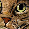 500-cacina_closeup_thumb