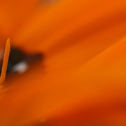 Img_1140_1_6x4_card