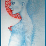 ____________081_card