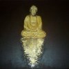 Buda_thumb