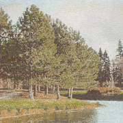 Ahpark_riverside__card