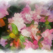 White_friday_flowers_card