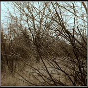 ______3071-1_card