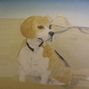 Imag0073_card