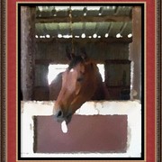 Rbr_horse_tung_oil_wc_frm11_card