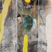 Symbiose_2011_card