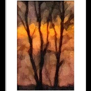 Nd_sunset_tree_oil_bw-frmd_card