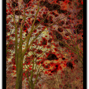 Untitled-d1_card