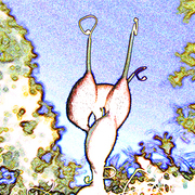 Pods_card