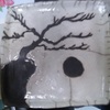1205111215_inset_thumb