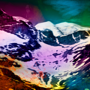 Bernina_card