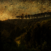 Over_the_black_forest_card