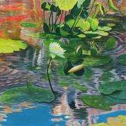 Waterlilies_card