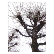 Dscf6422_card
