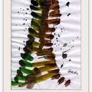 An_010_r_card