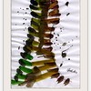 An_010_r_thumb