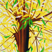 The_sun_willow_of_baston_fen_card