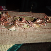 Pc090781_card