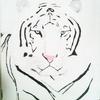 White_tiger_thumb