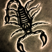New_scorpion_card