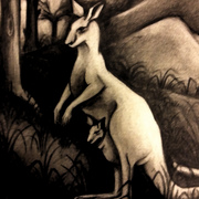 Kangro1_card