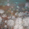 Dscf0618_thumb