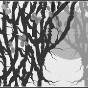 Untitled-1_card