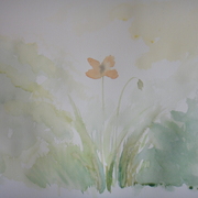 Dsc03906_card