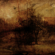 Valley_card