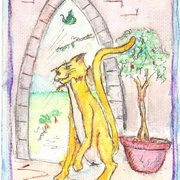 The_cats_meow_card