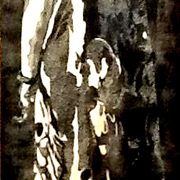 Aeqewr_card