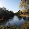 276_thumb