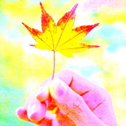 Dsc00543_card