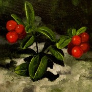 R_lingon_card