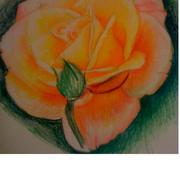 Color_card
