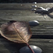 2011-11-10_14-44-59_157_card
