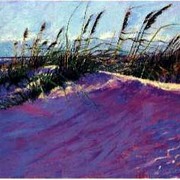 Luongo_windy_beach_card