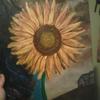 Sunflower_thumb