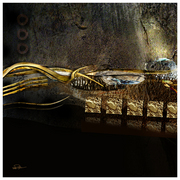 Black_water_cave_card