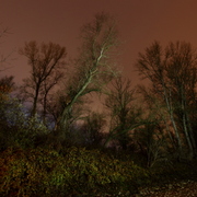 Nachtlandschaft_graswerth_19k_card