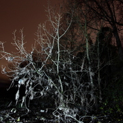Nachtlandschaft_graswerth_22k_card