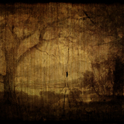 Black_forest_card