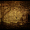 Black_forest_thumb