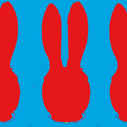 Rabbitm_card