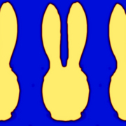 Yellow_card