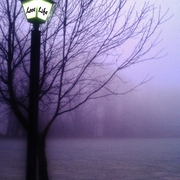 Lovelighttree_card