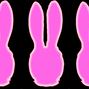 Sn4_card