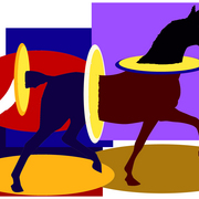Magichorse2_card