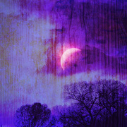 Risingmoontoosmall_card