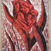 Img_1274_card